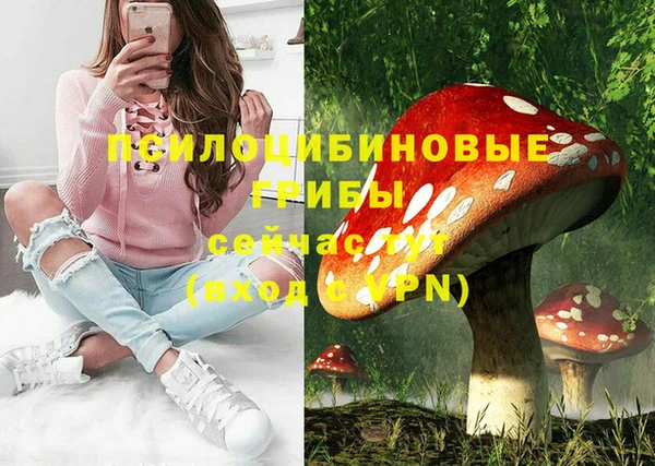 спайс Алзамай