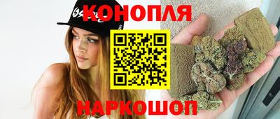 индика Северобайкальск
