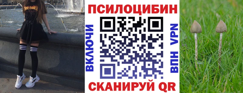 Галлюциногенные грибы GOLDEN TEACHER  хочу наркоту  Усинск 