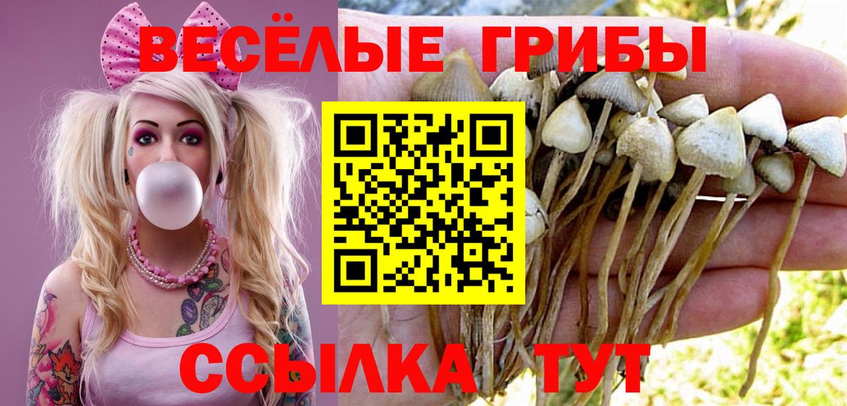 Псилоцибиновые грибы прущие грибы Усинск